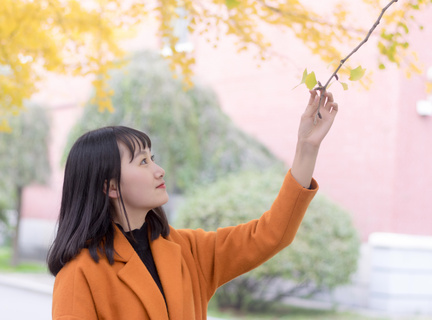 菲律宾宿务使馆在什么地方 大使馆开了吗